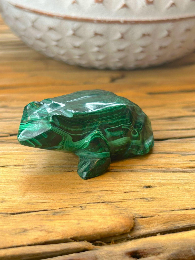 Malachite Frog