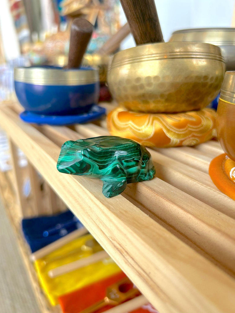 Malachite Frog