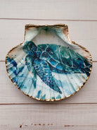 A sea turtle shell, symbolizing harmony, peace, and growth.