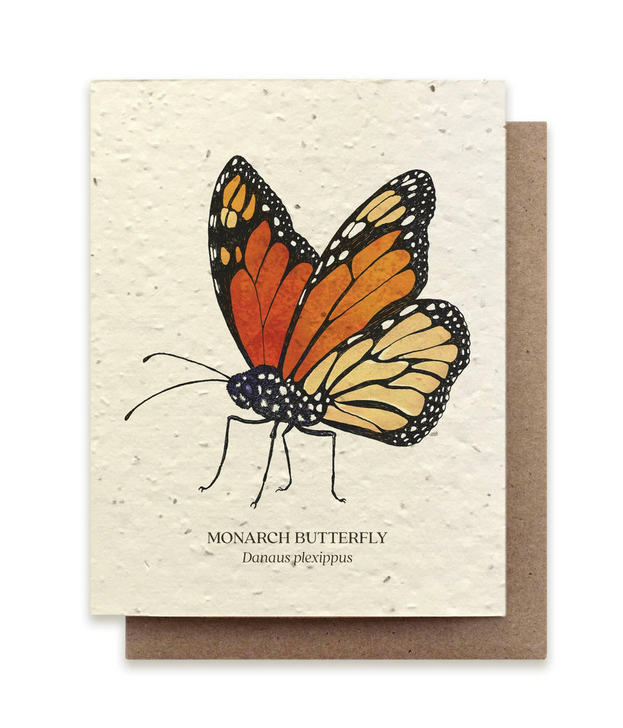 Monarch Butterfly Plantable Wildflower Seed Card, a biodegradable card infused with wildflower seeds that attracts Monarch butterflies when planted.