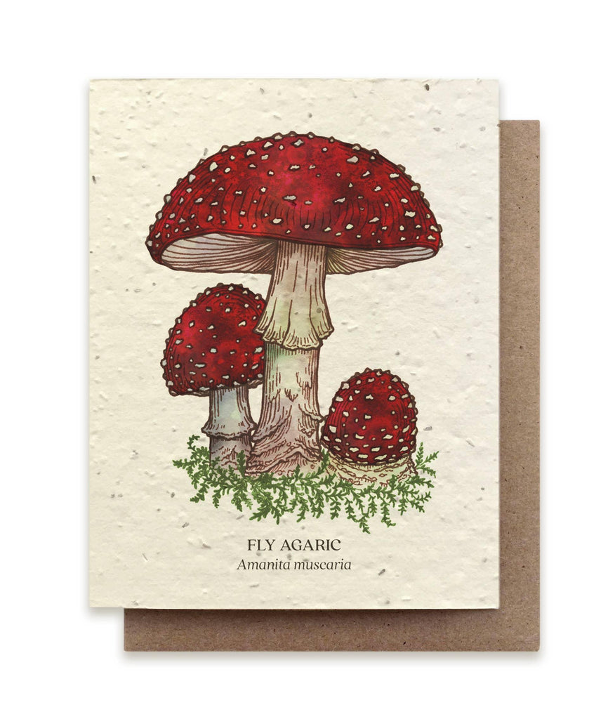 Mushroom Plantable Wildflower Seed Card, a biodegradable card embedded with wildflower seeds, blooming into a whimsical wildflower garden with mushrooms when planted.