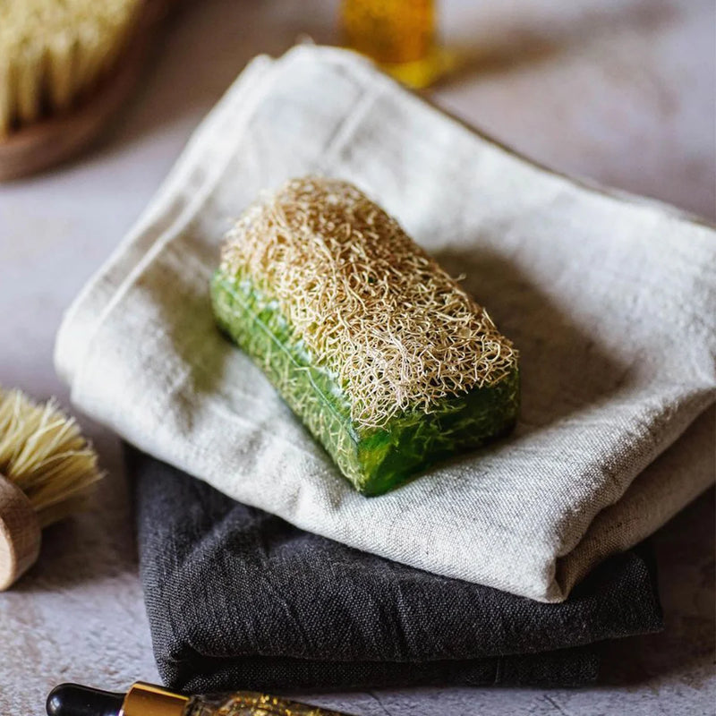 Aloe Vera Soap with Loofah, providing a soothing, moisturizing, and exfoliating cleanse.