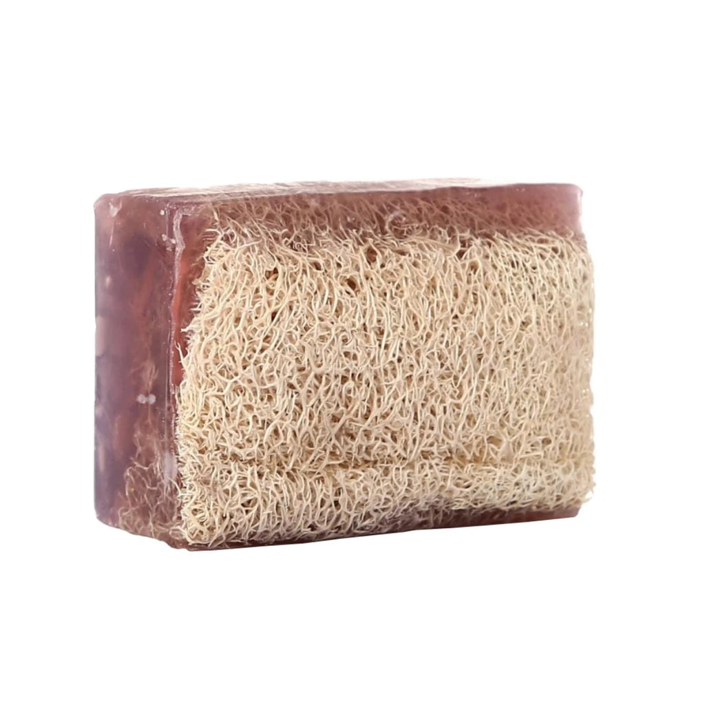 Lavender Soap with Loofah, a tranquil combination for gentle exfoliation and relaxation.