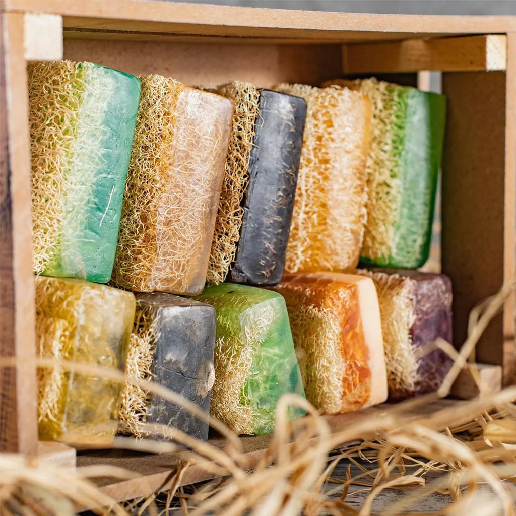 Argan Oil Soap with Loofah, offering a luxurious blend of hydration and exfoliation.