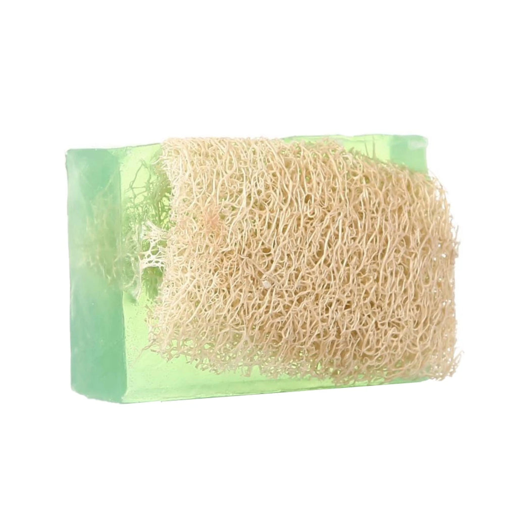 Argan Oil Soap with Loofah, offering a luxurious blend of hydration and exfoliation.